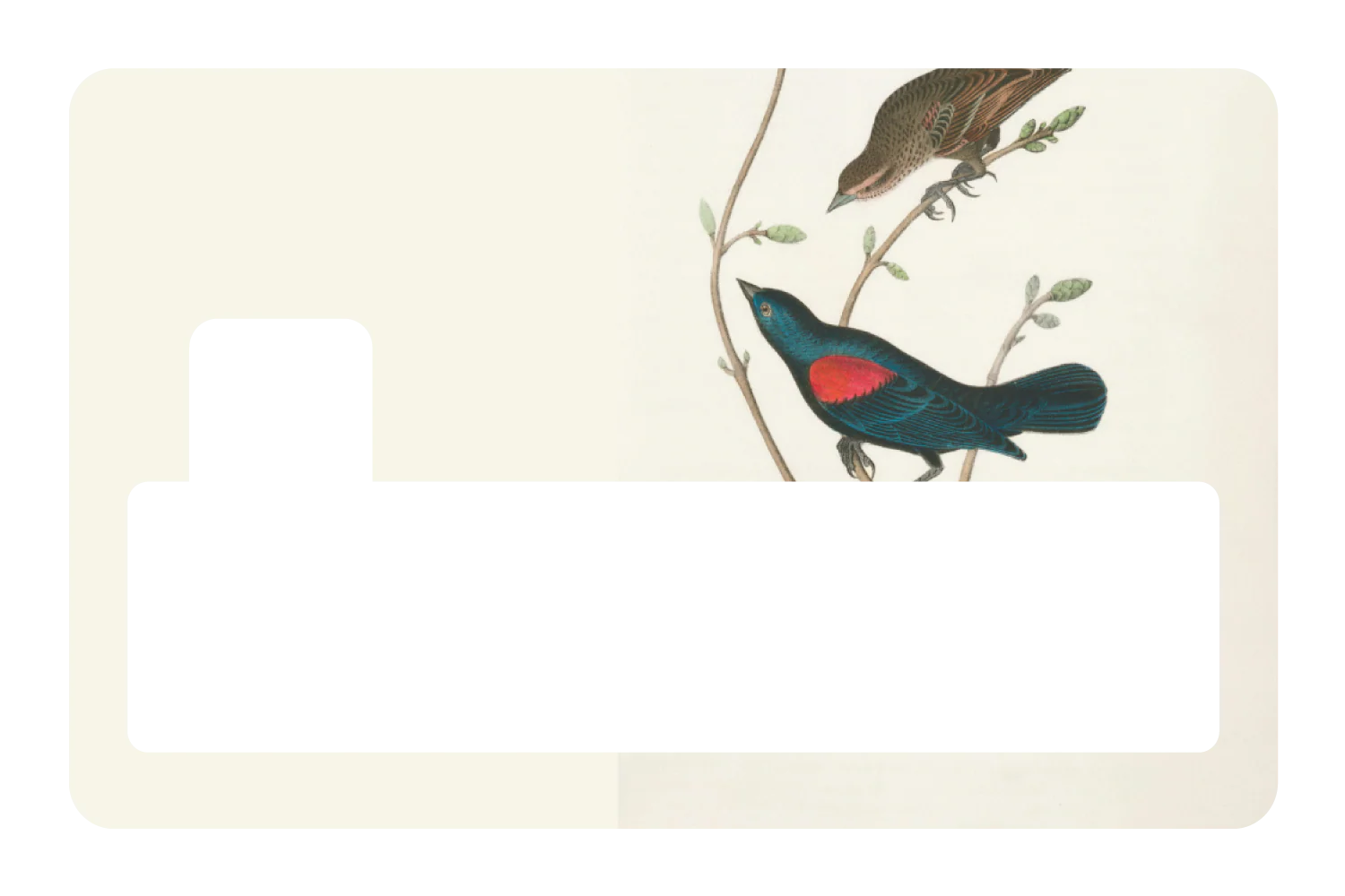 At The Tree Top - Image 4