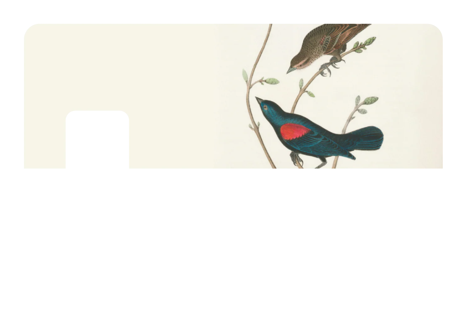 At The Tree Top - Image 7