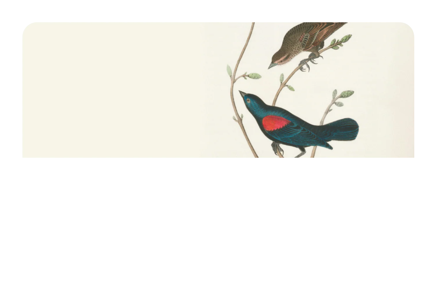 At The Tree Top - Image 9