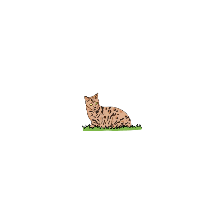 Bengal - Image 2