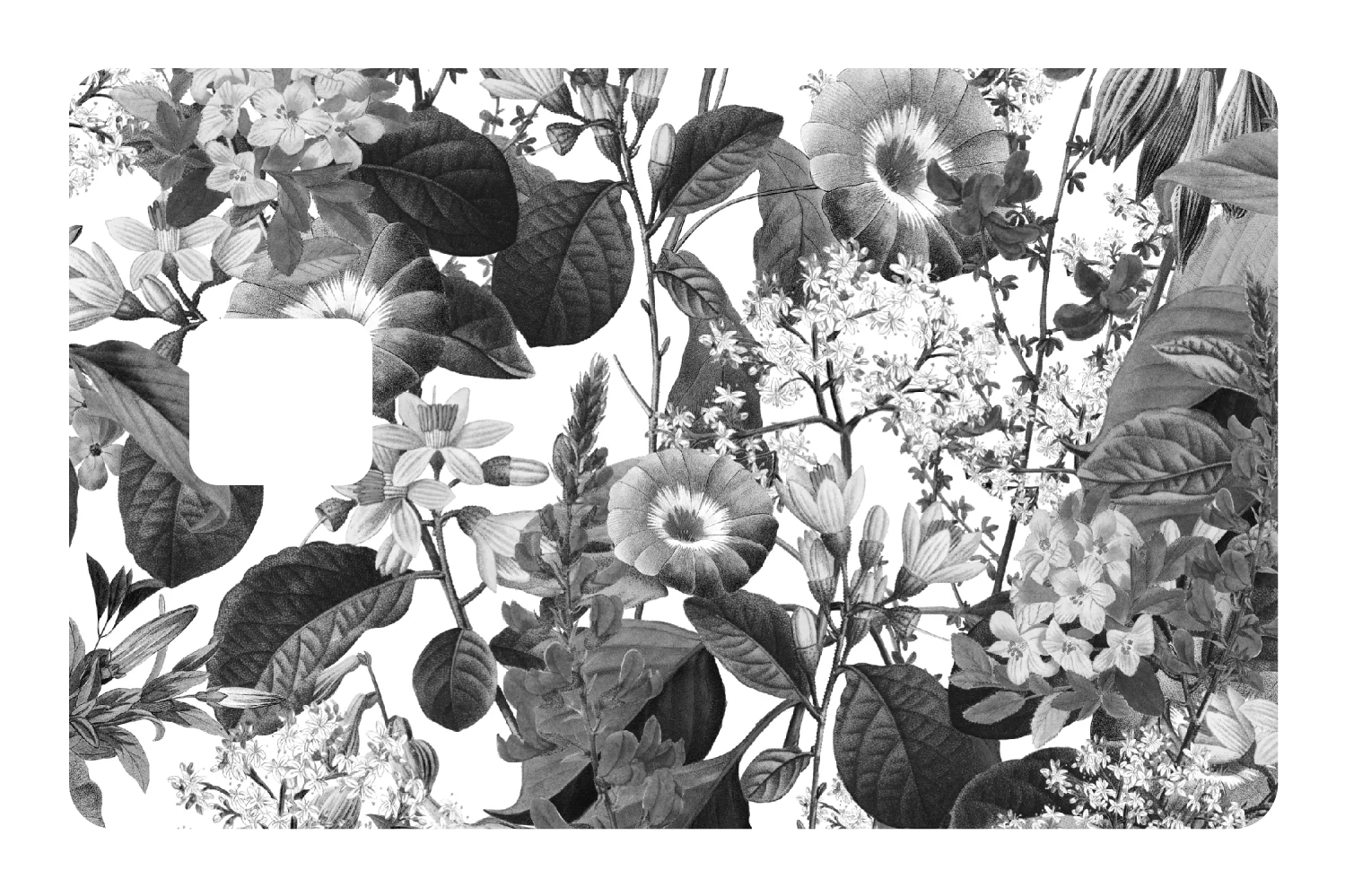 Black and White Floral - Image 3
