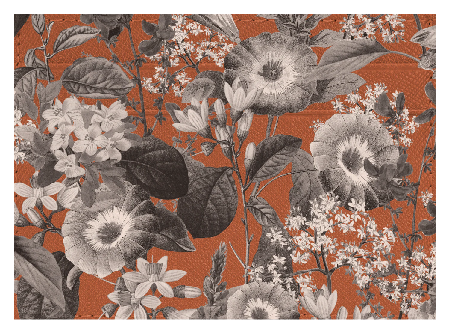 Black and White Floral