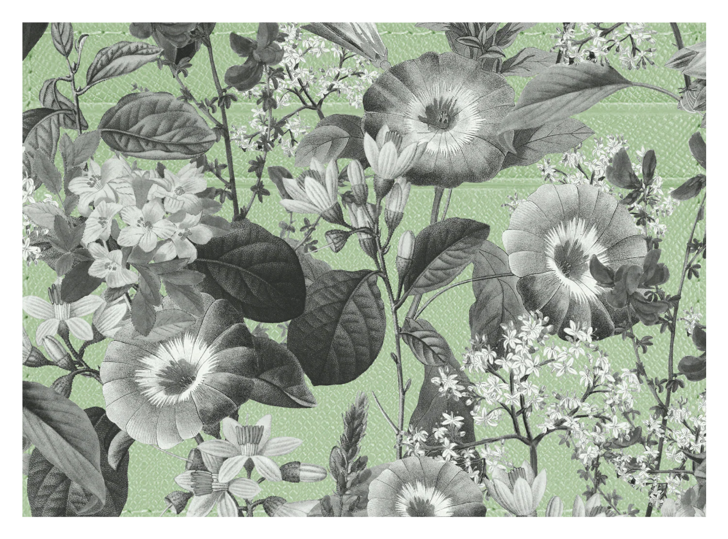Black and White Floral - Image 6