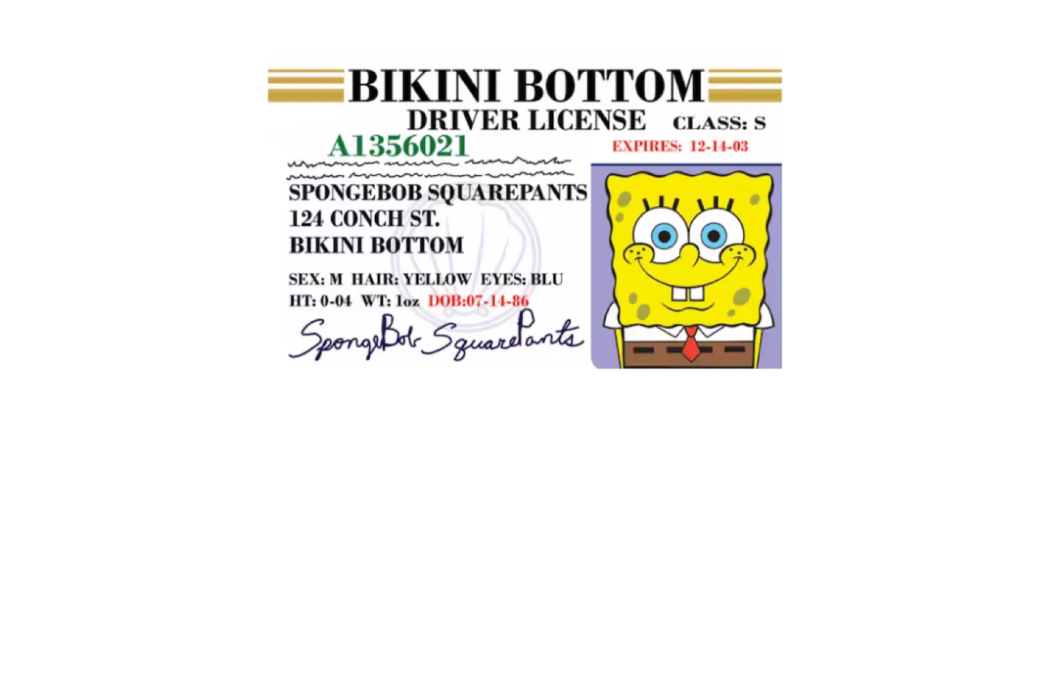 Bob License - Image 5