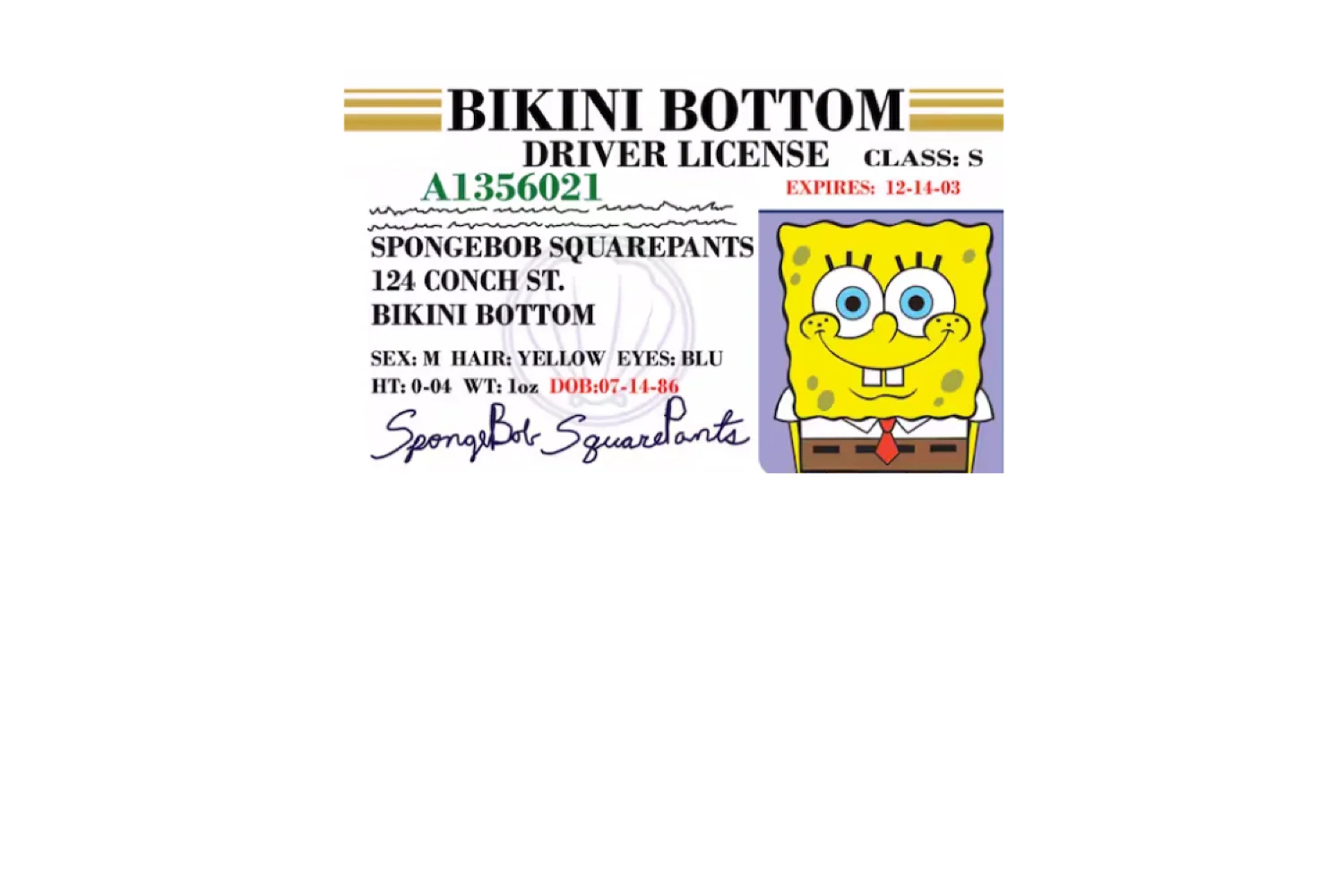 Bob License - Image 8