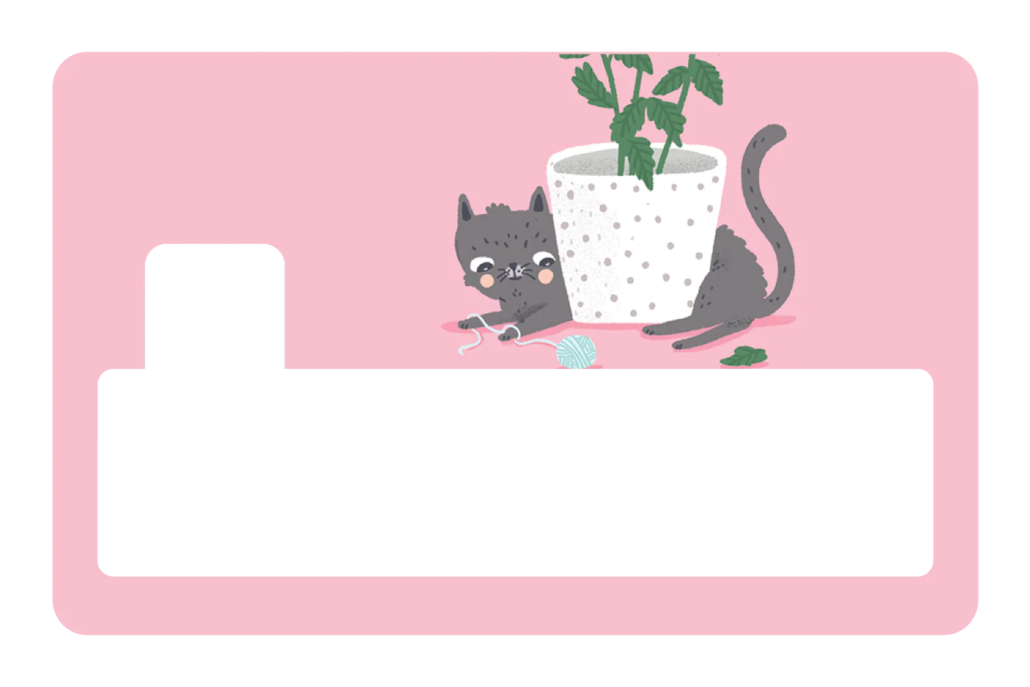 Cat - Image 4