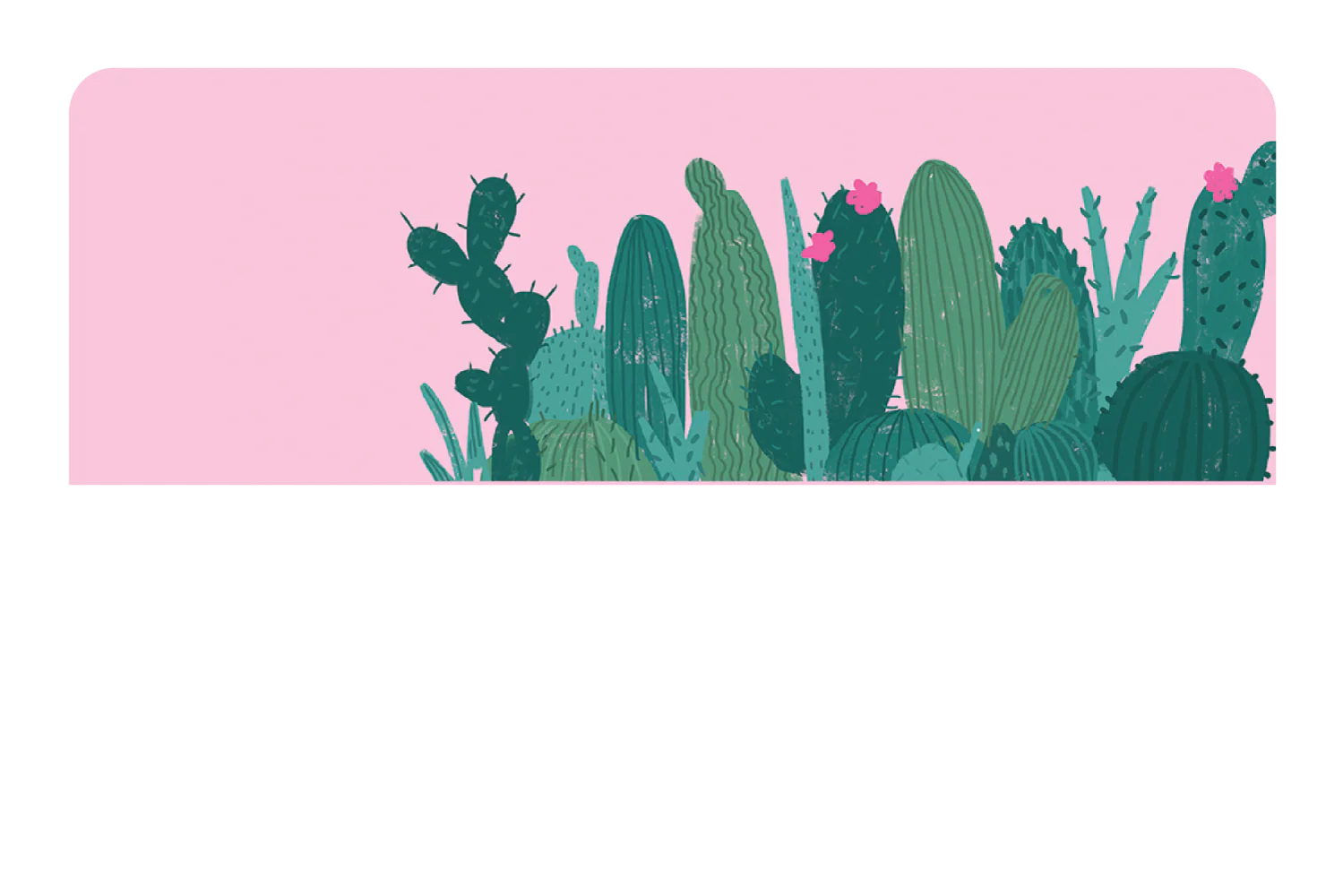 Pink Cactus - Image 9