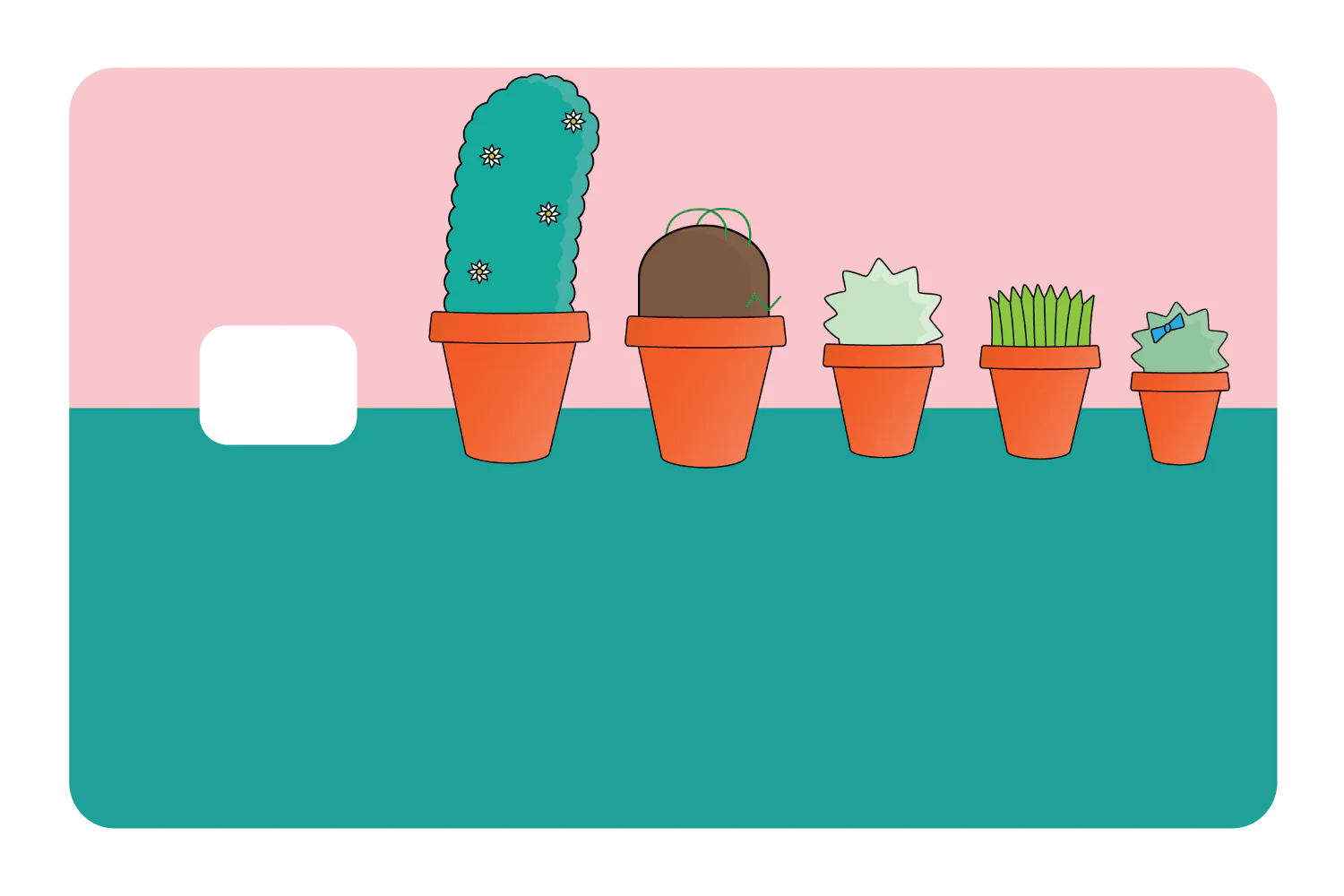 Pots & Plants - Image 3