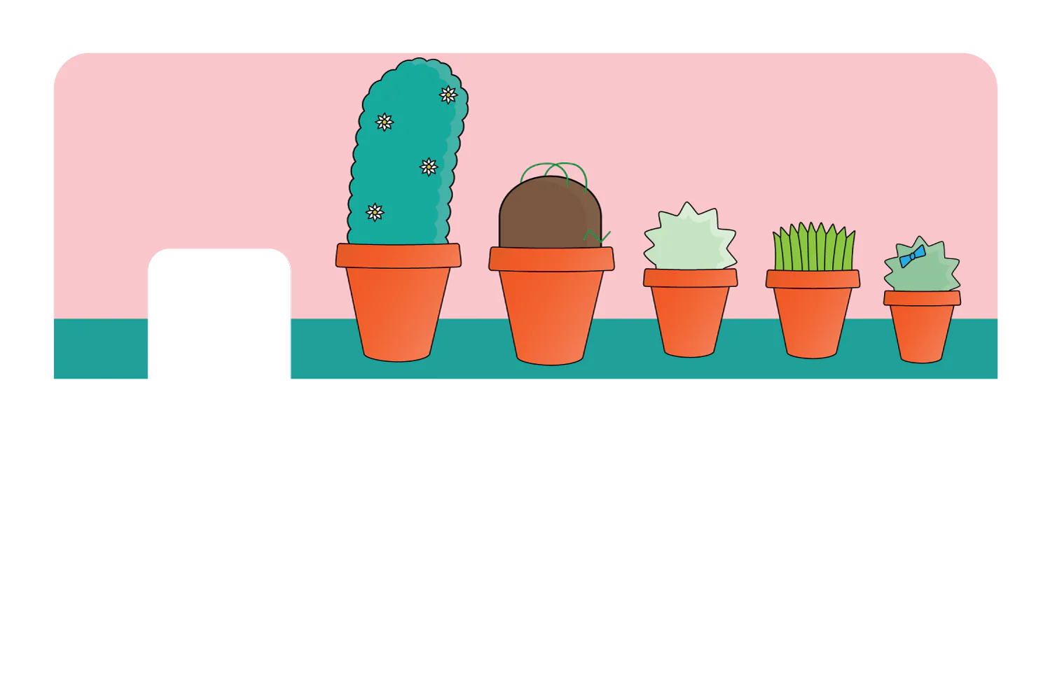 Pots & Plants - Image 7