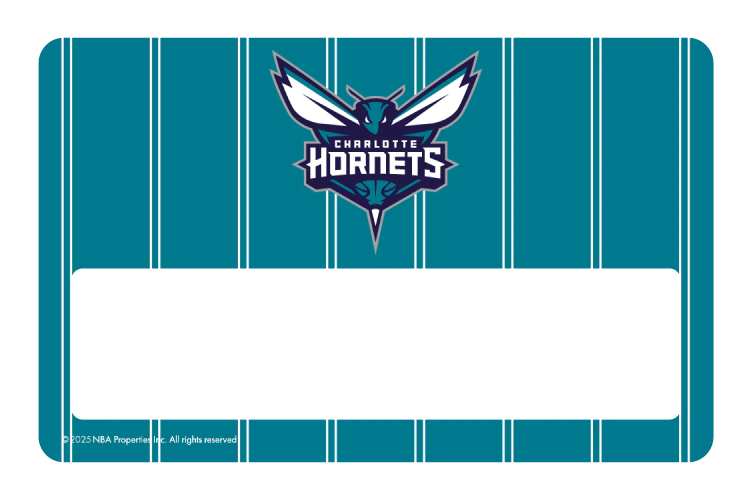 Charlotte Hornets: Showtime - Image 6