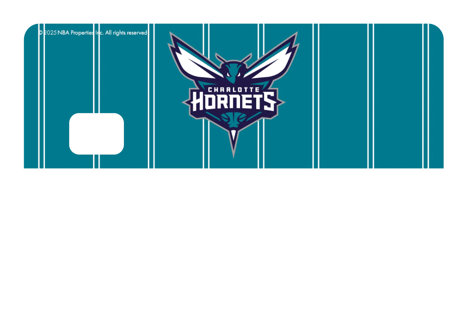 Charlotte Hornets: Showtime - Image 8