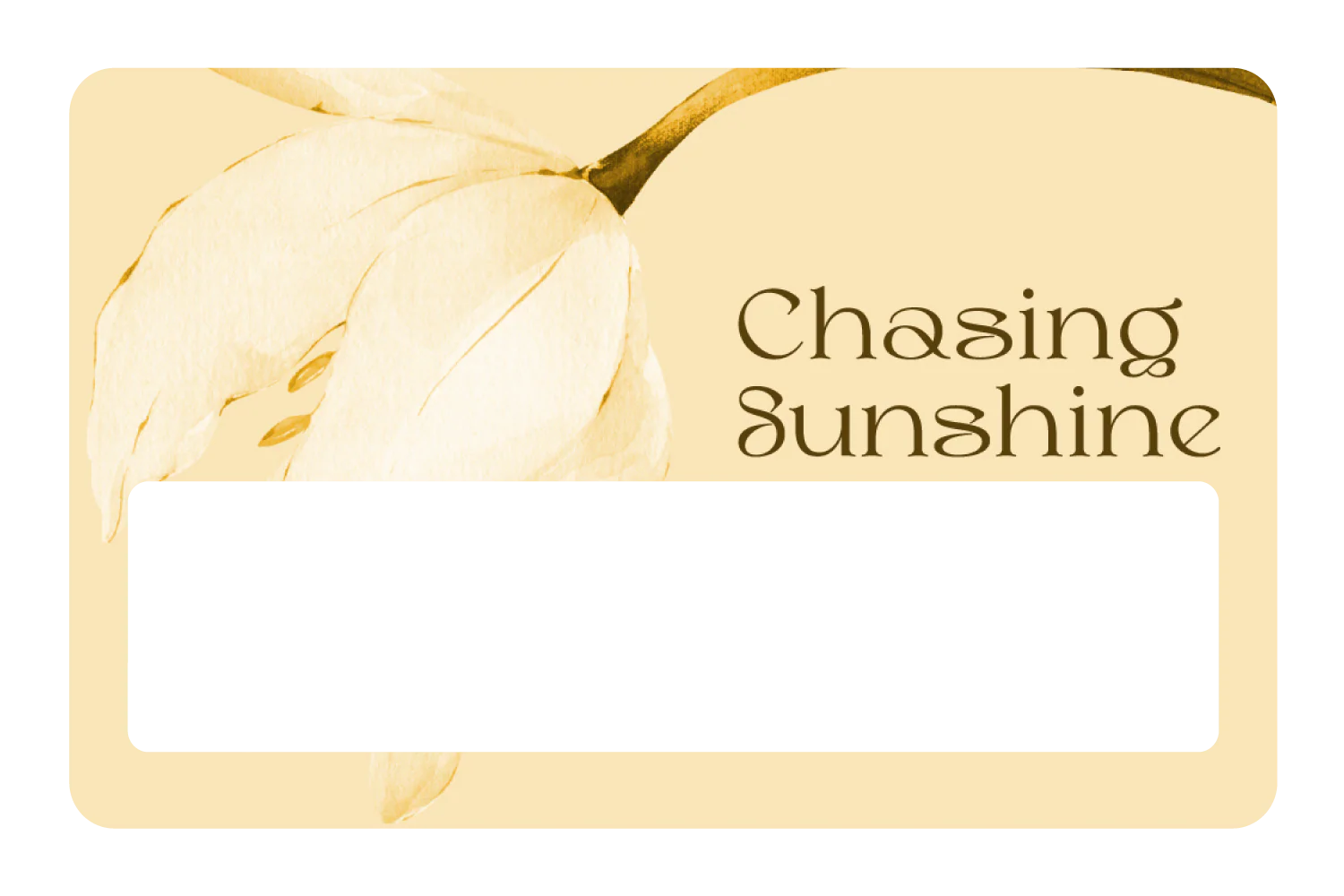 Chasing Sunshine - Image 6
