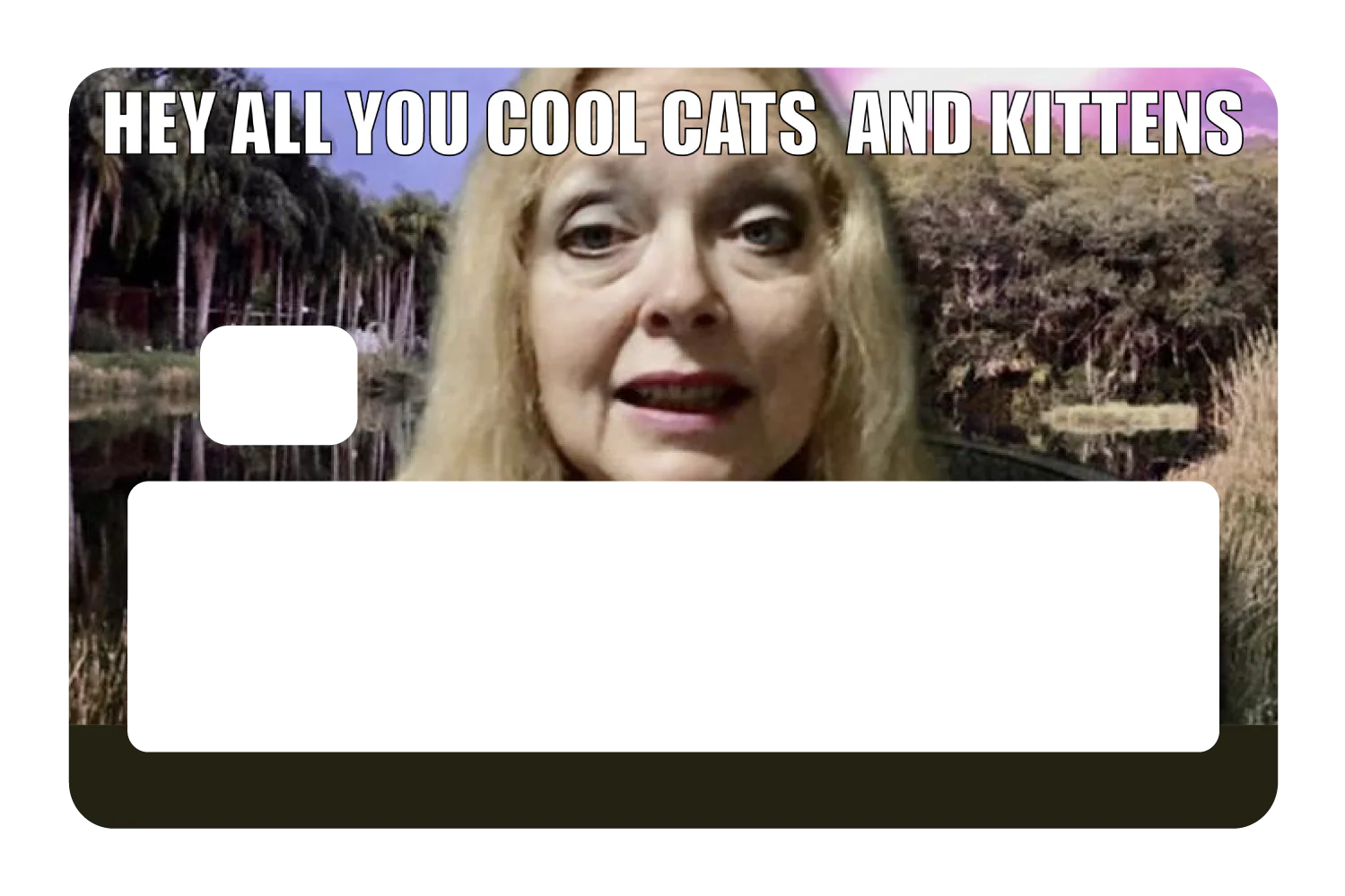 Cool Cats and Kittens - Image 5