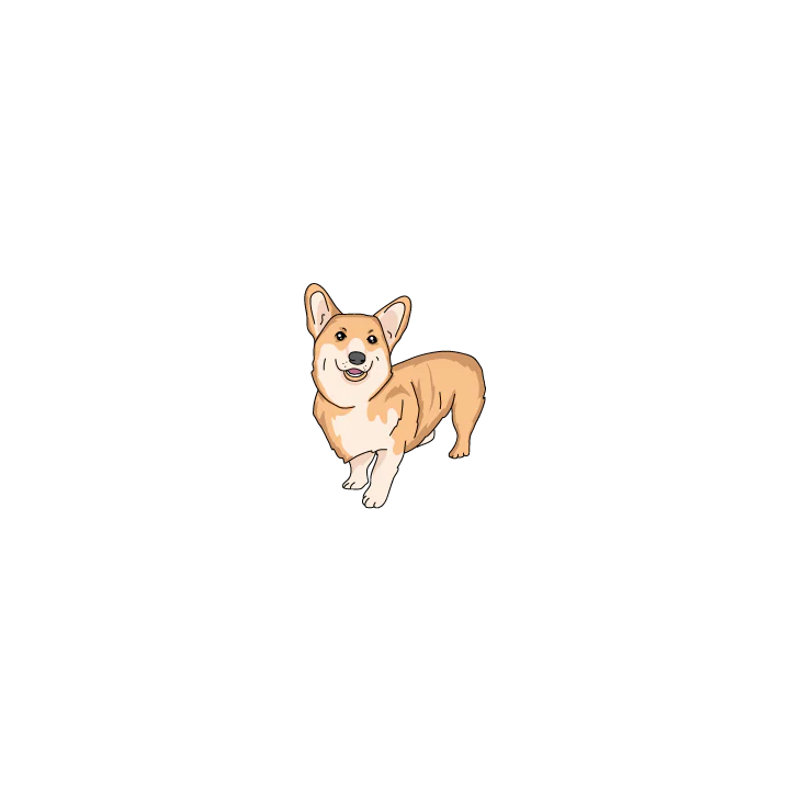 Corgi - Image 2