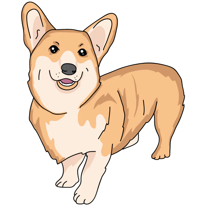 Corgi - Image 3