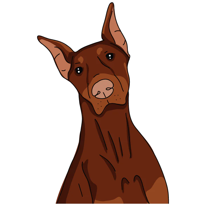 Dobermann - Image 3