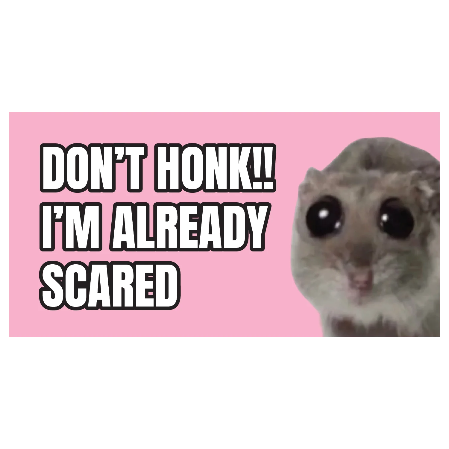 Don't Honk I'm Already Scared