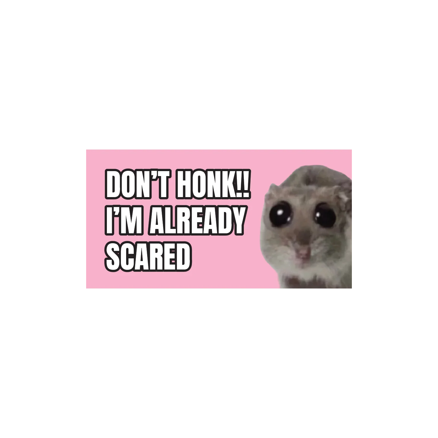 Don't Honk I'm Already Scared - Image 2