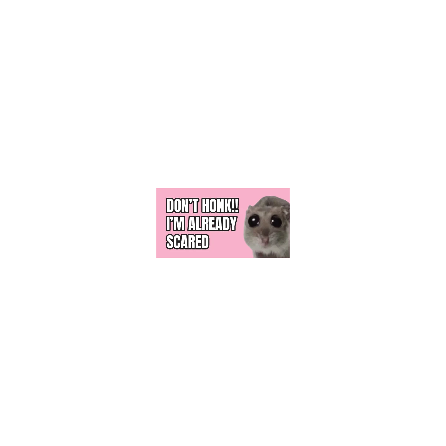 Don't Honk I'm Already Scared - Image 3