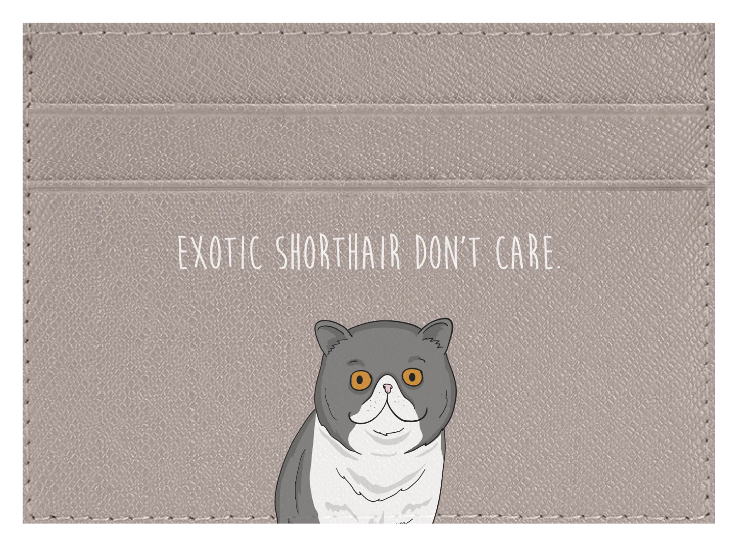 Exotic Shorthair don't care - Image 10