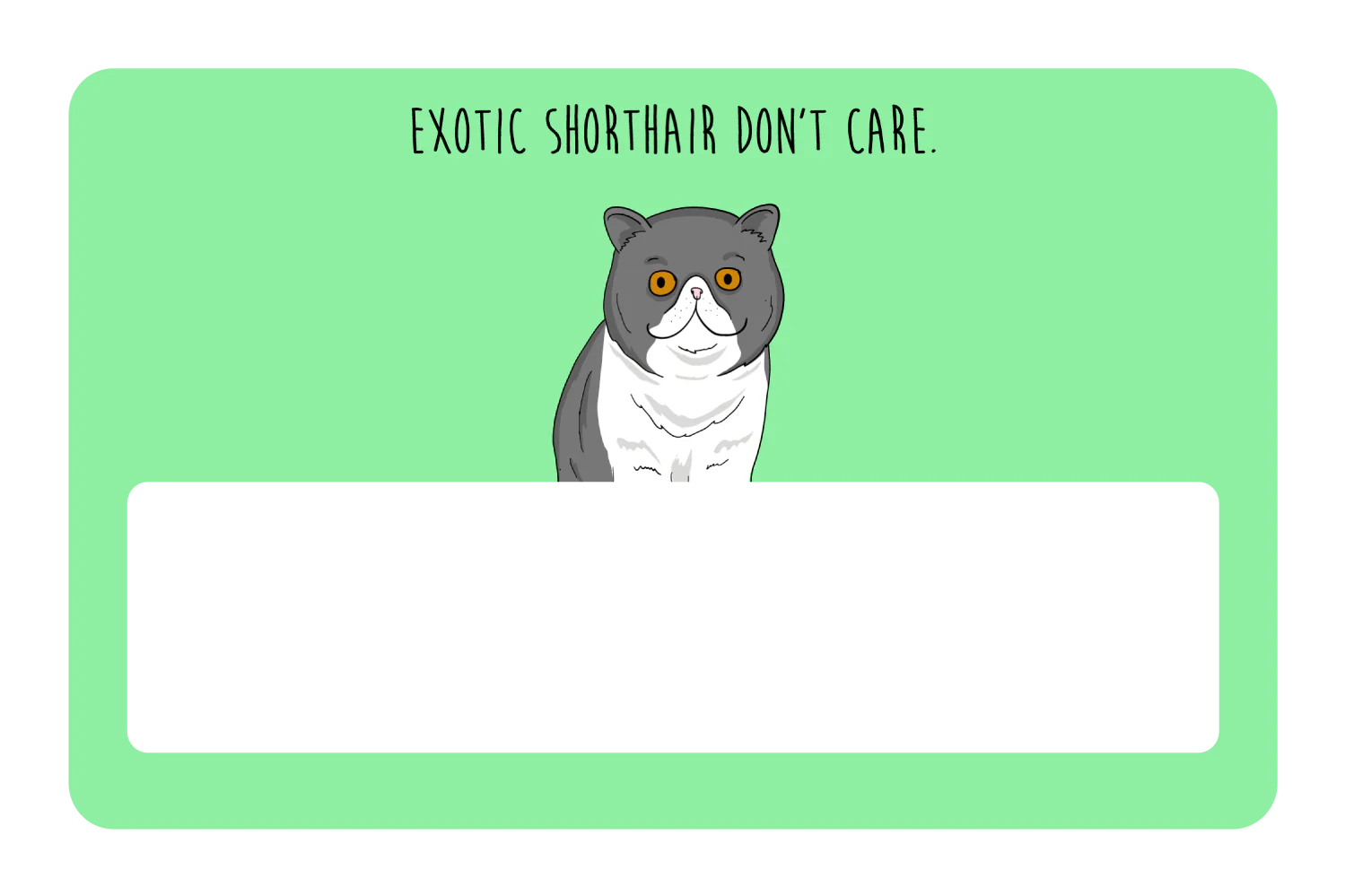 Exotic Shorthair don't care - Image 6