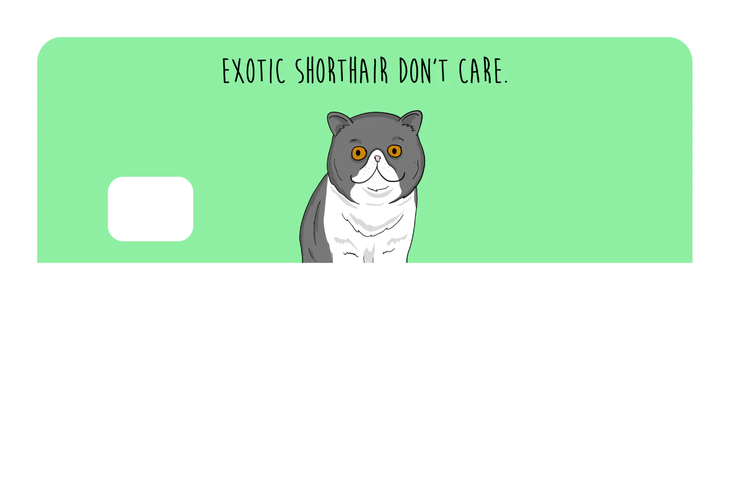 Exotic Shorthair don't care - Image 8