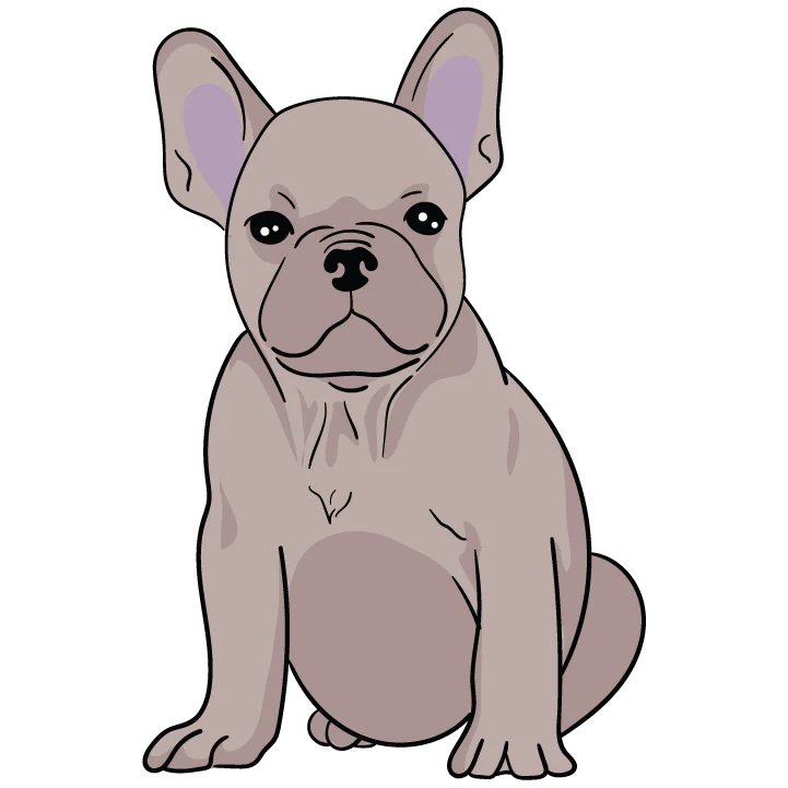 Frenchie - Image 3