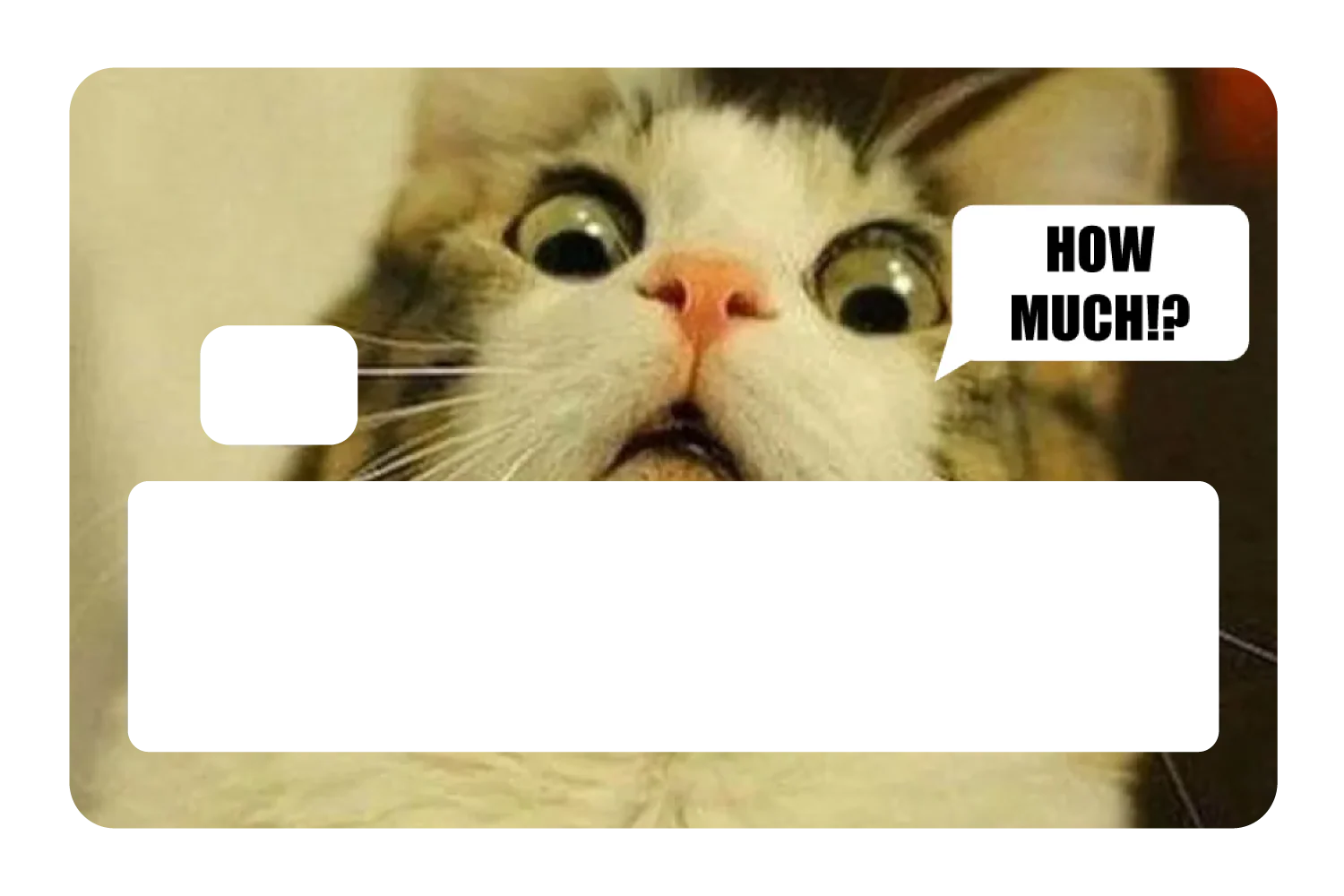 How Much!? - Image 5