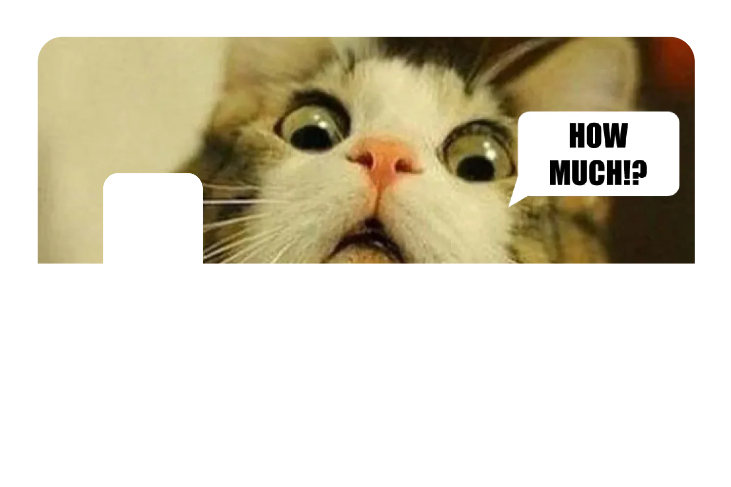 How Much!? - Image 7