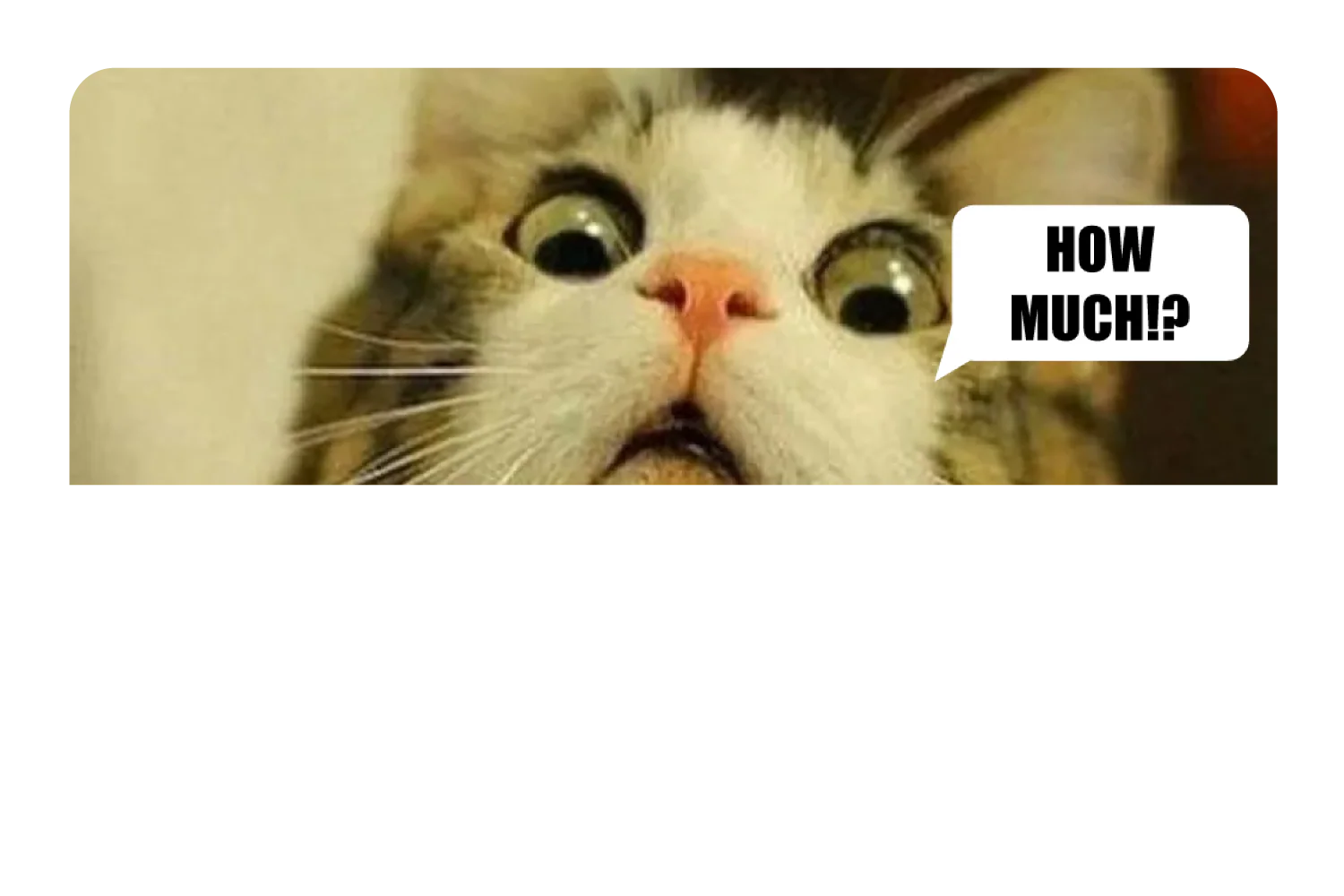 How Much!? - Image 9