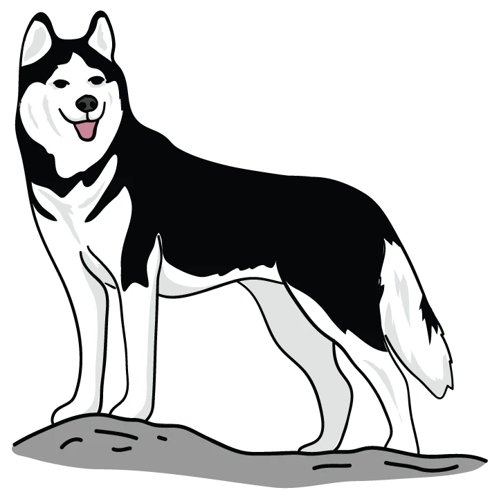 Husky - Image 3