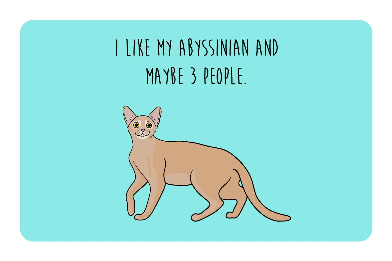 I like my Abyssinian and maybe 3 people