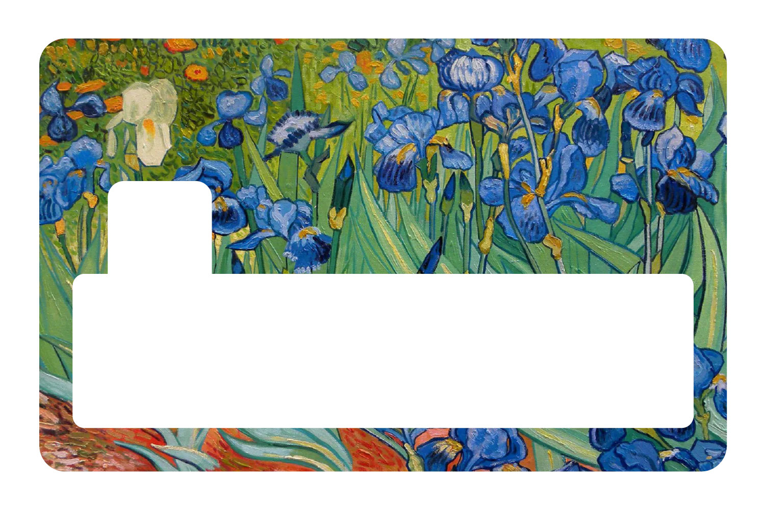 Irises - Image 4