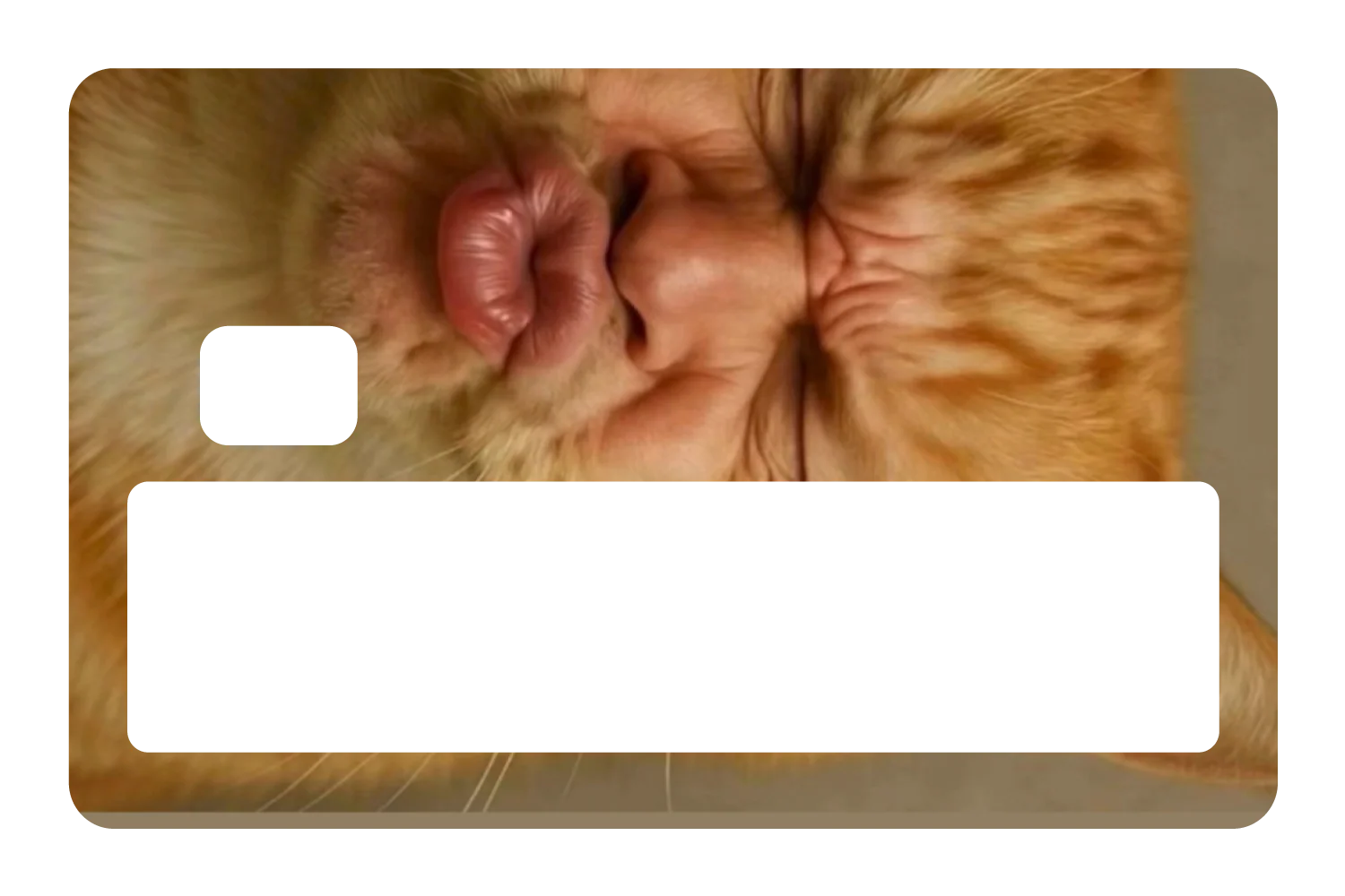 Kissy Cat - Image 5
