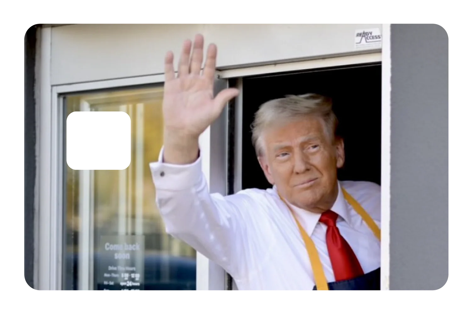 McTrump - Image 3