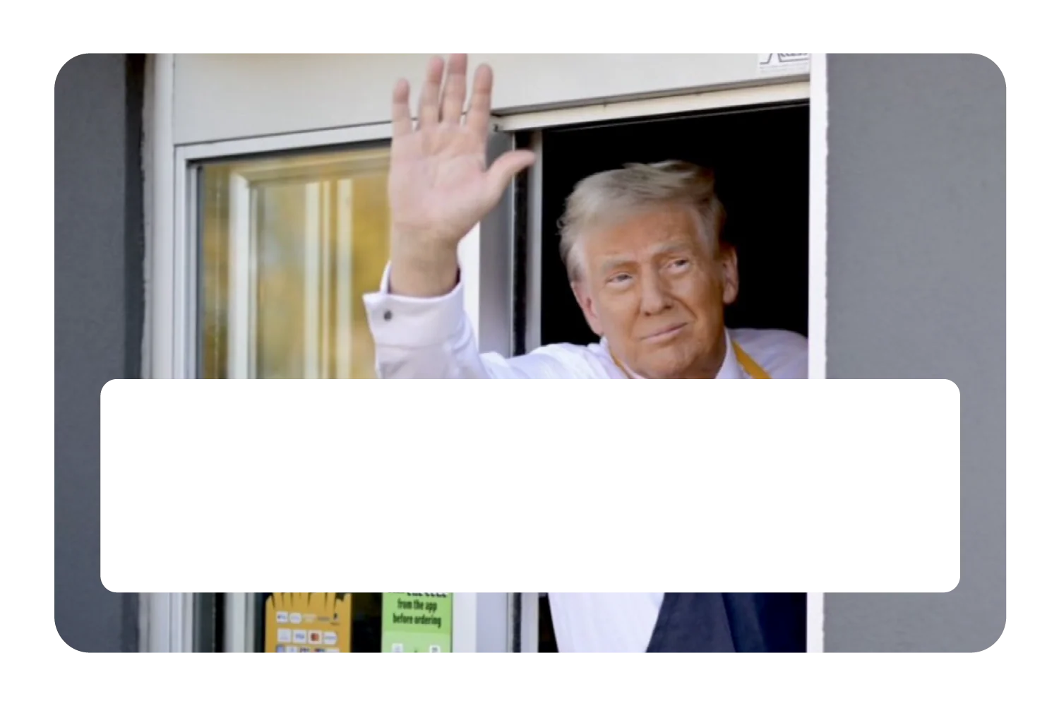 McTrump - Image 6