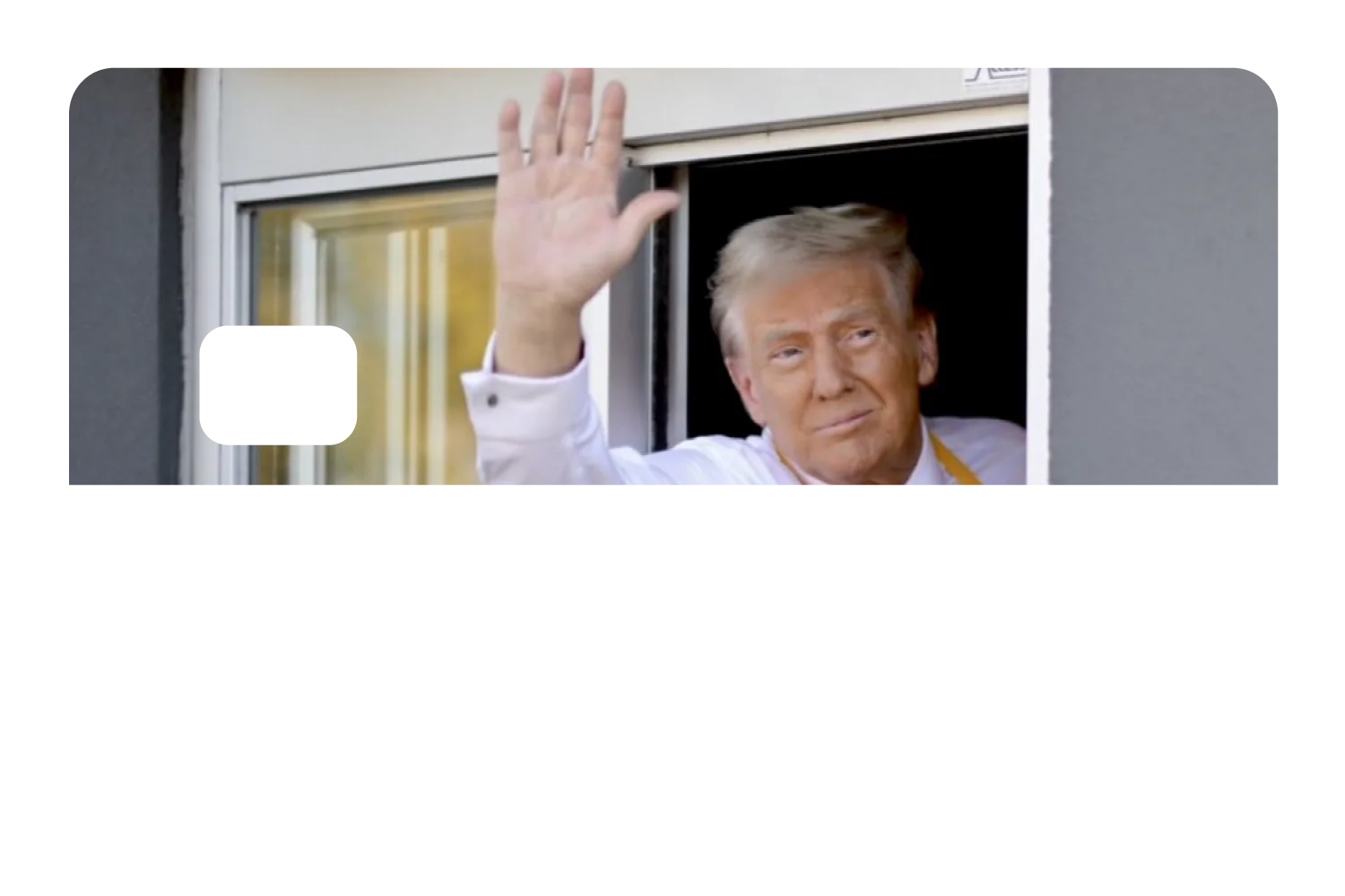 McTrump - Image 8