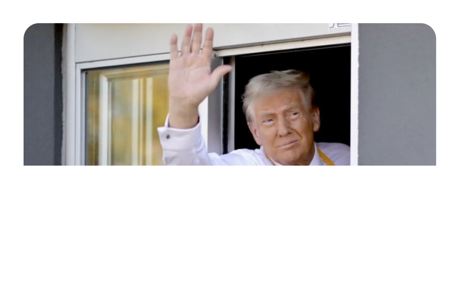 McTrump - Image 9