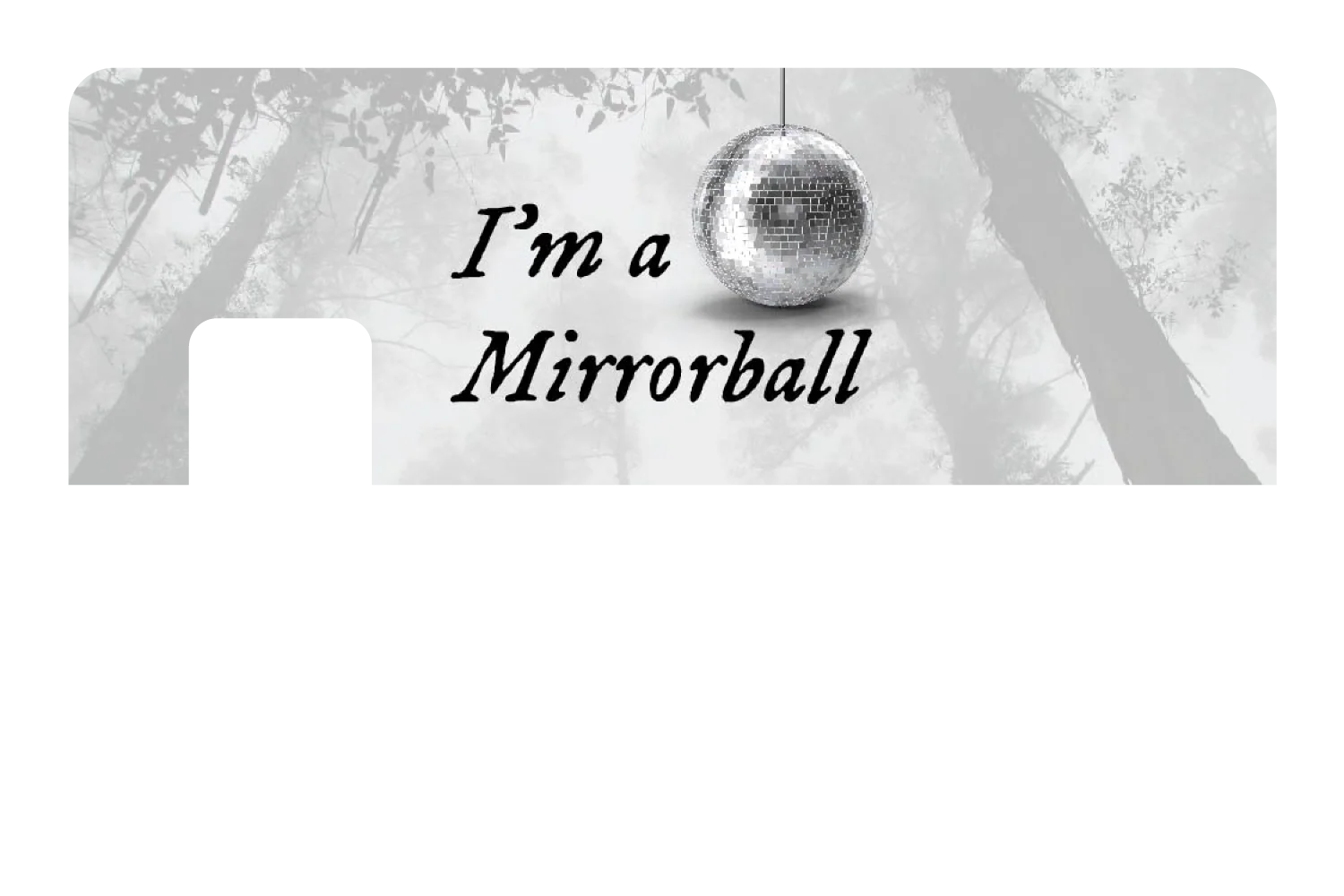 Mirrorball - Image 7