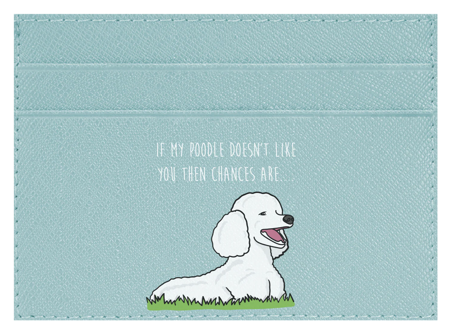 My Poodle don't like you