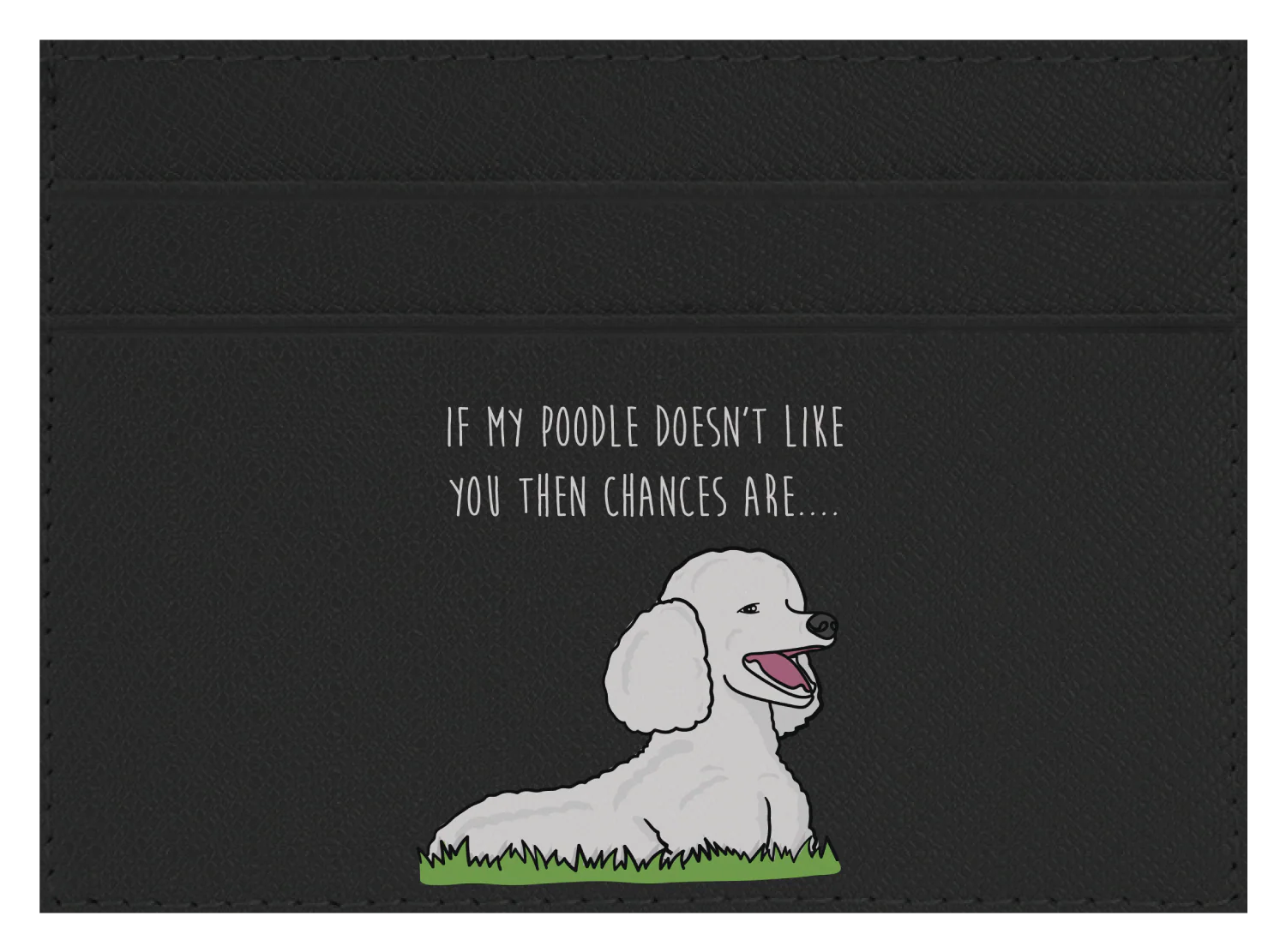 My Poodle don't like you - Image 3