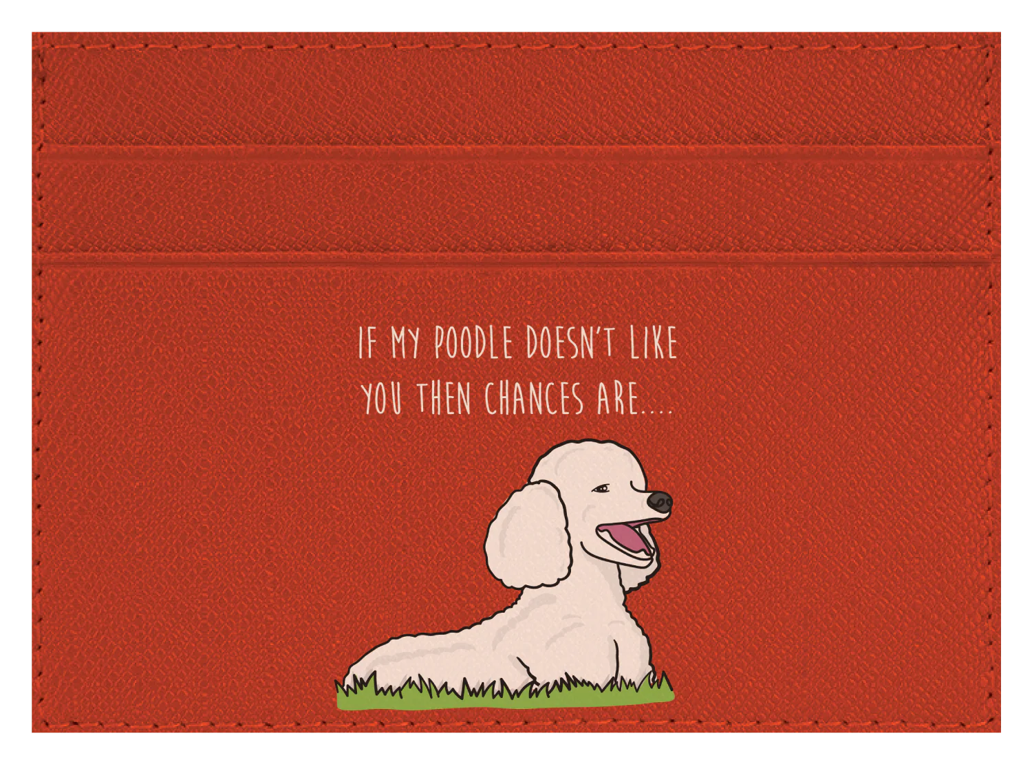 My Poodle don't like you - Image 5