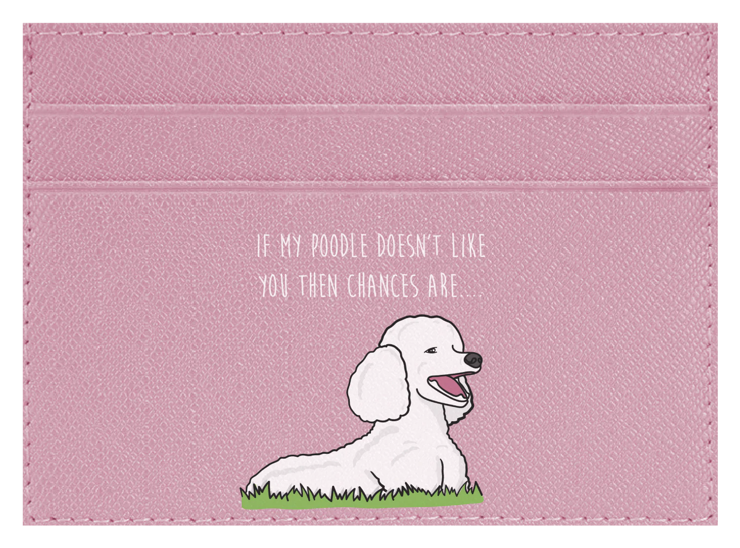 My Poodle don't like you - Image 6