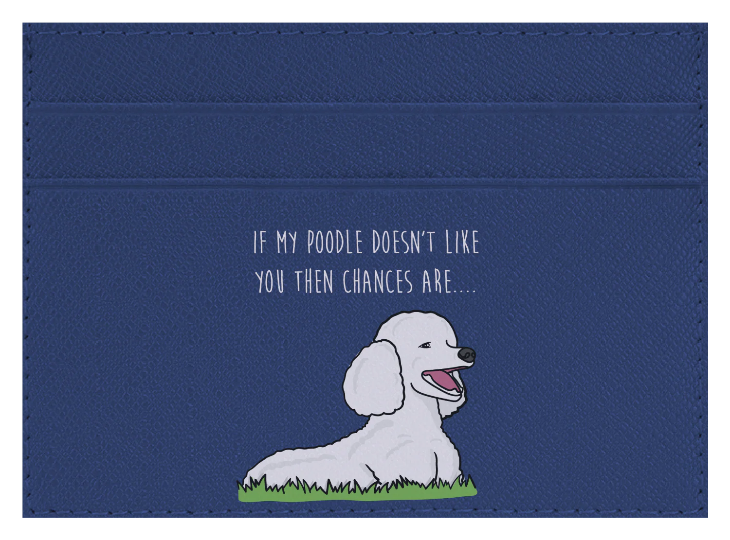 My Poodle don't like you - Image 7