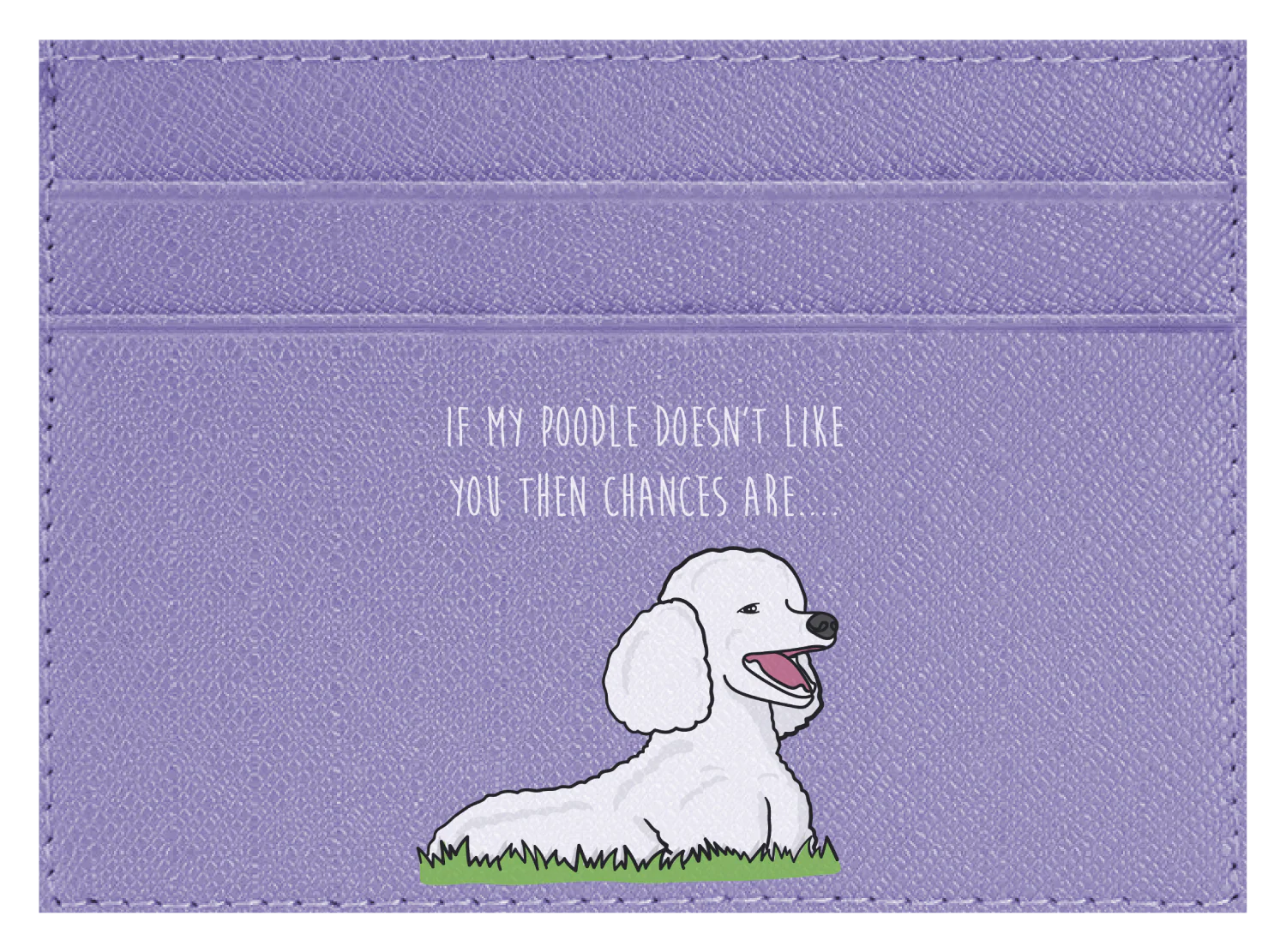 My Poodle don't like you - Image 8