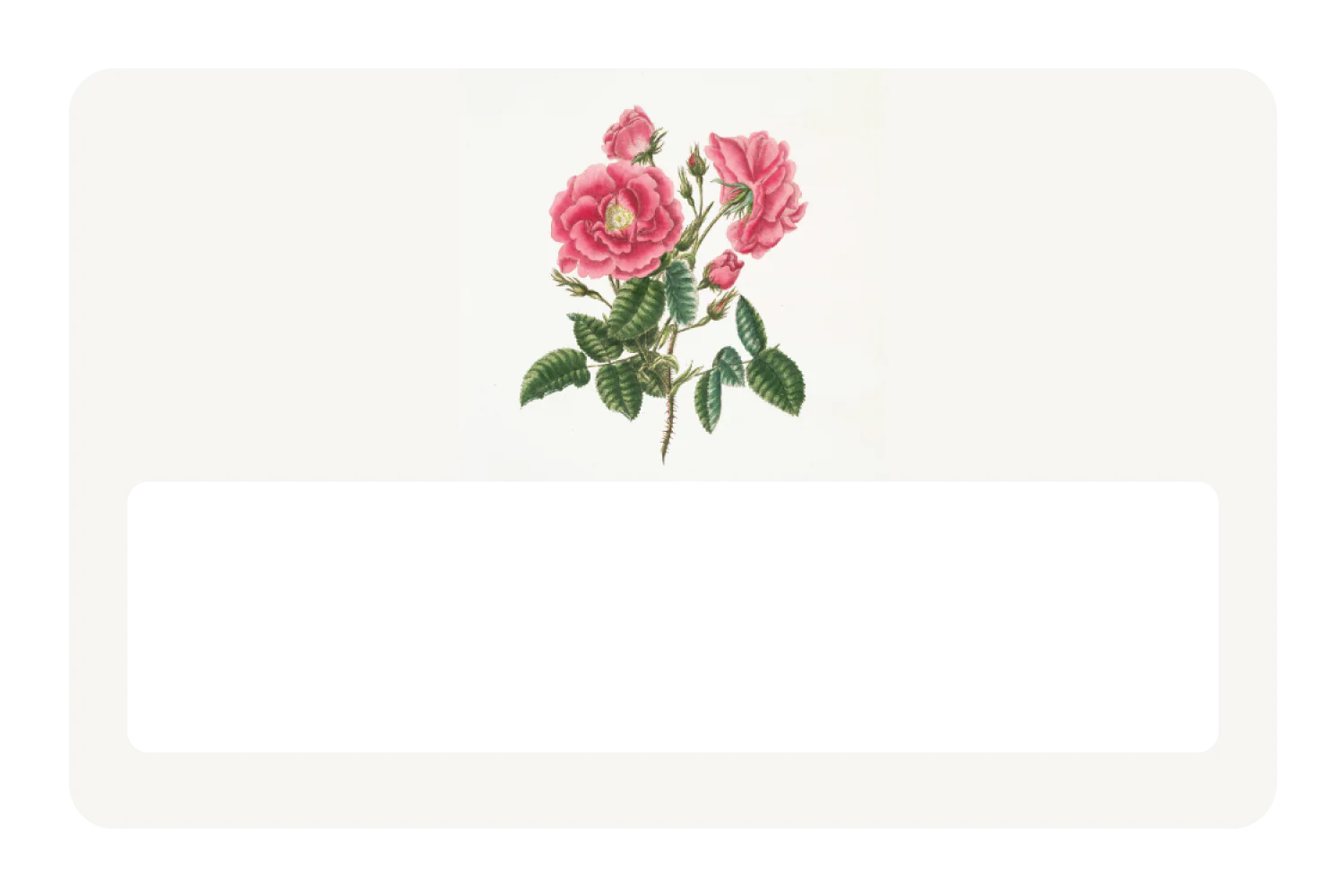 Petals & Positivity - Image 6