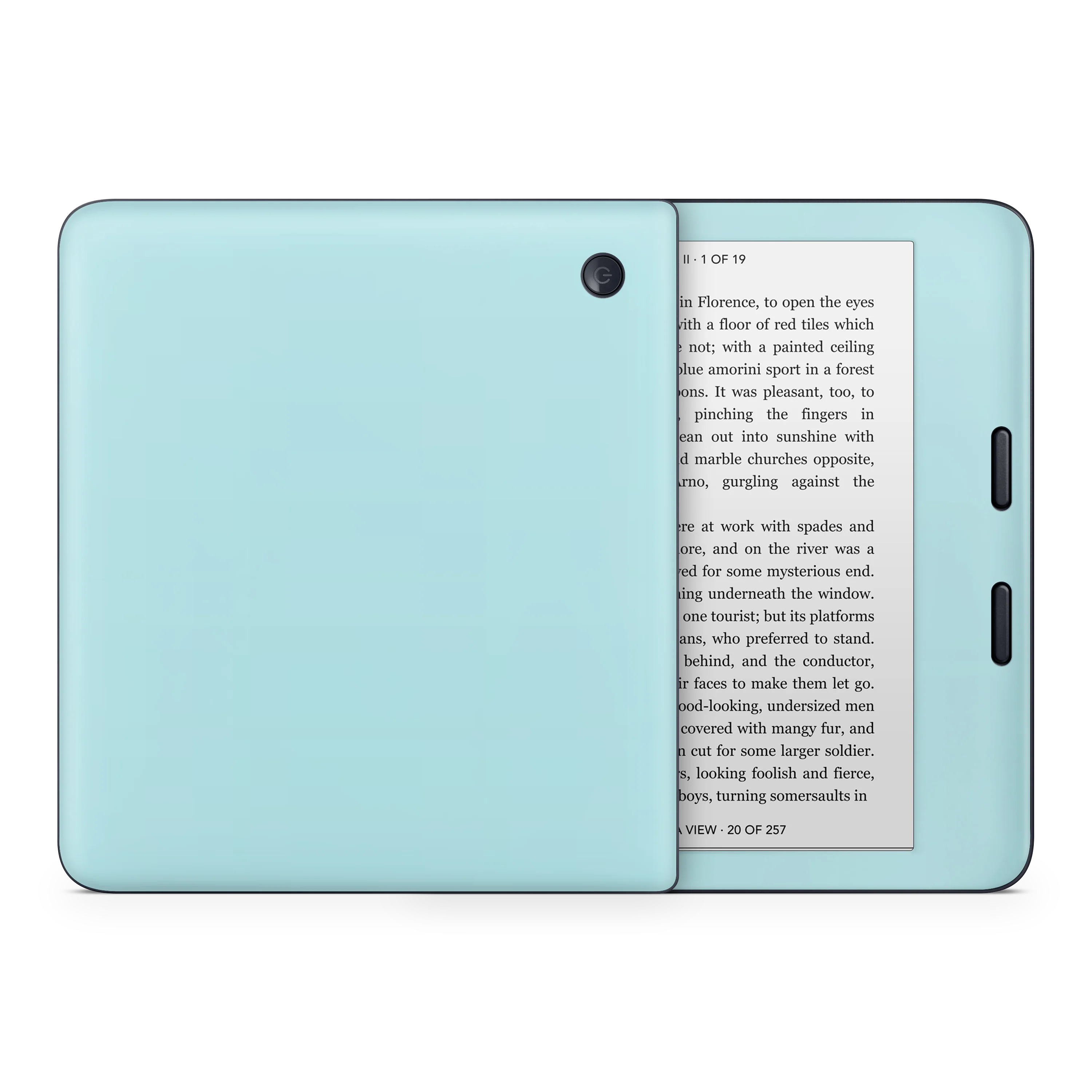 Powder Blue Kobo eReader Skin - Image 2