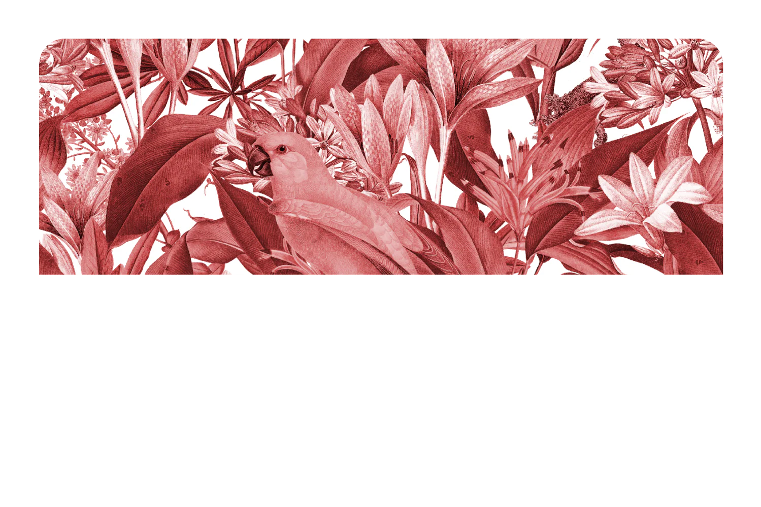 Red Parrot Floral - Image 9