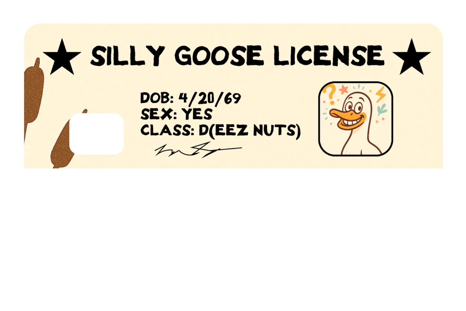 Silly Goose License - Image 8