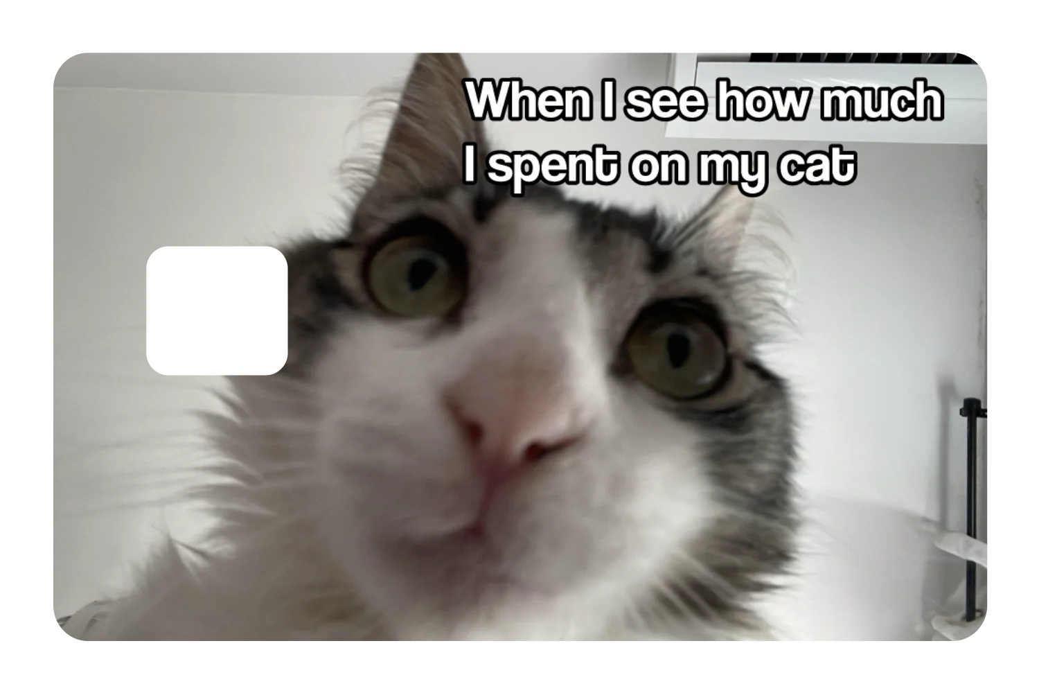 Spent On My Cat - Image 3